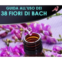 Guida all'uso dei 38 fiori di Bach     